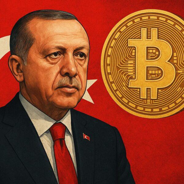 埃尔多安计划加强土耳其对加密货币的打击力度