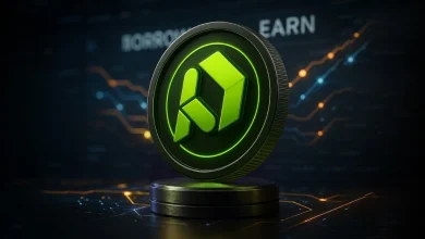 PayDax 的独特借贷和盈利功能使其成为市场上最佳的预售产品。