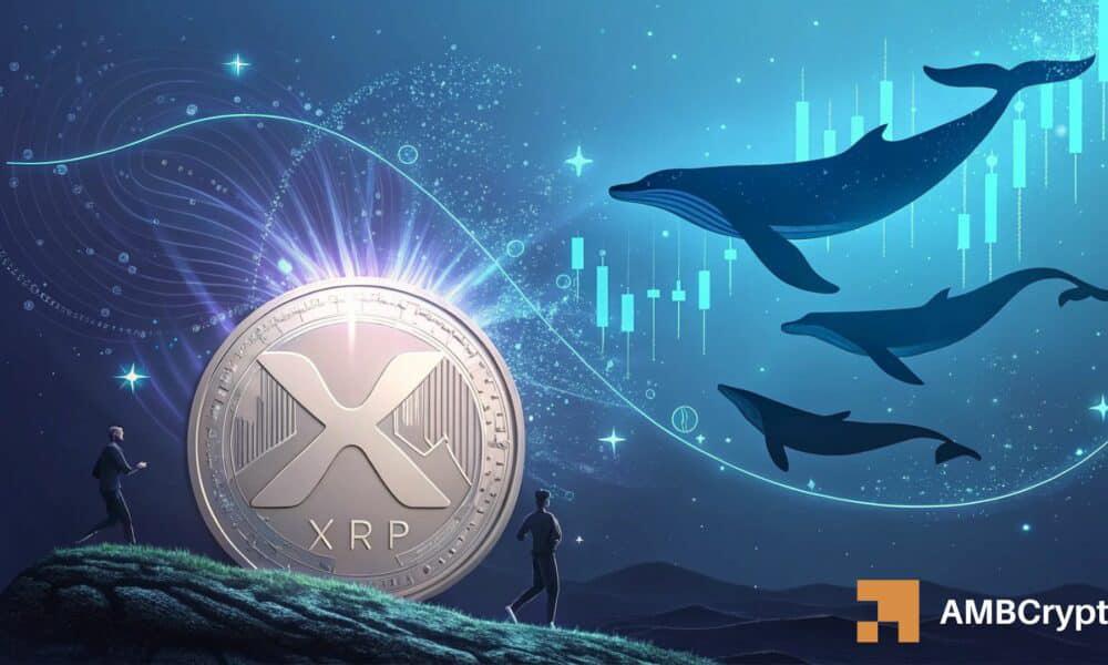 86 Million Dollars Worth of XRP Funds Outflow Trigger Whale Buying Frenzy, Price Firmly Supported!