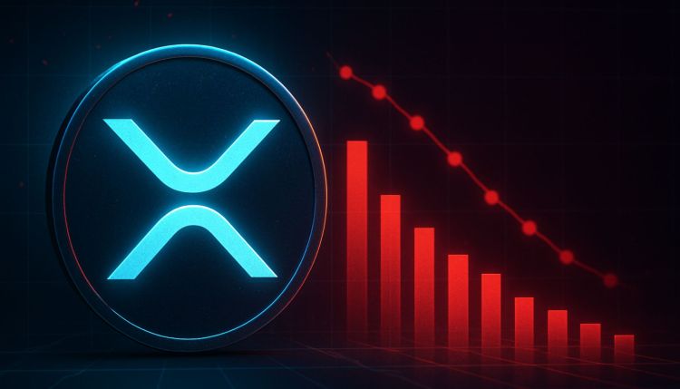 尽管价格上涨,XRP 的净供应量仍降至 58.5%,创下自2024年以来最低水平。